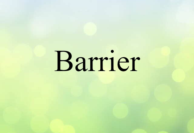 Barrier (noun) Definition, Meaning & Examples