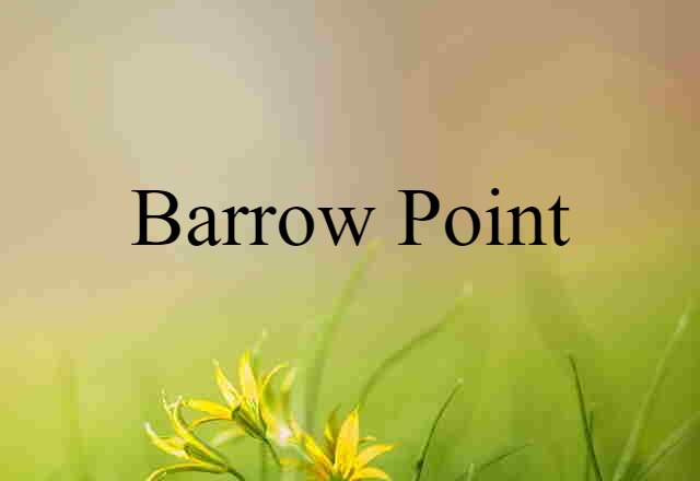 Barrow Point (noun) Definition, Meaning & Examples