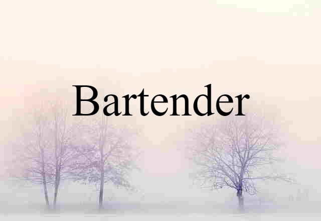 Bartender (noun) Definition, Meaning & Examples