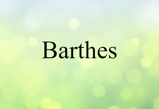 Barthes (noun) Definition, Meaning & Examples