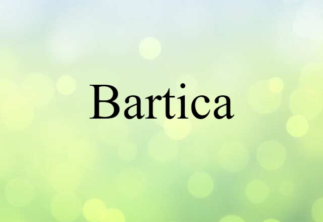 Bartica (noun) Definition, Meaning & Examples