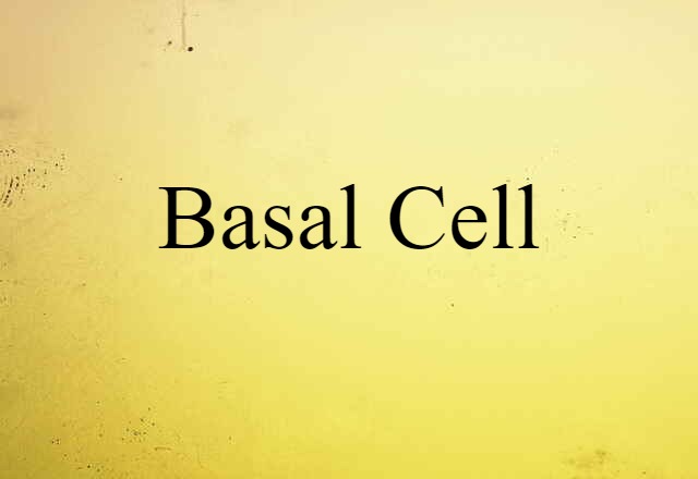 basal cell