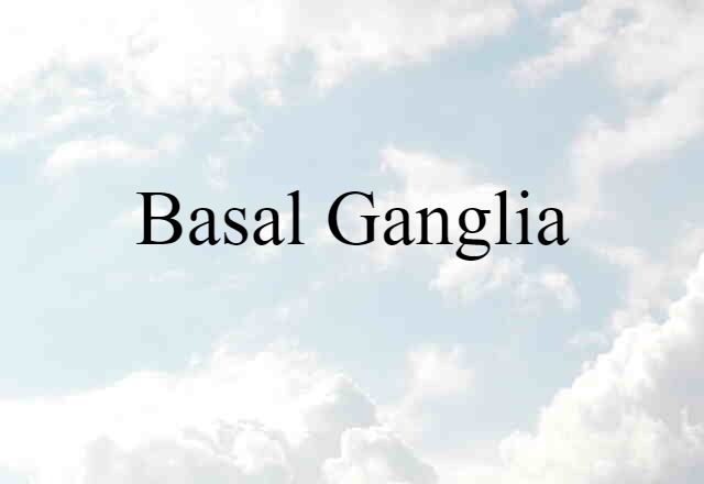 Basal Ganglia (noun) Definition, Meaning & Examples