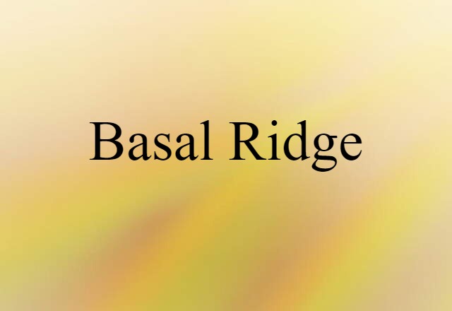 Basal Ridge (noun) Definition, Meaning & Examples