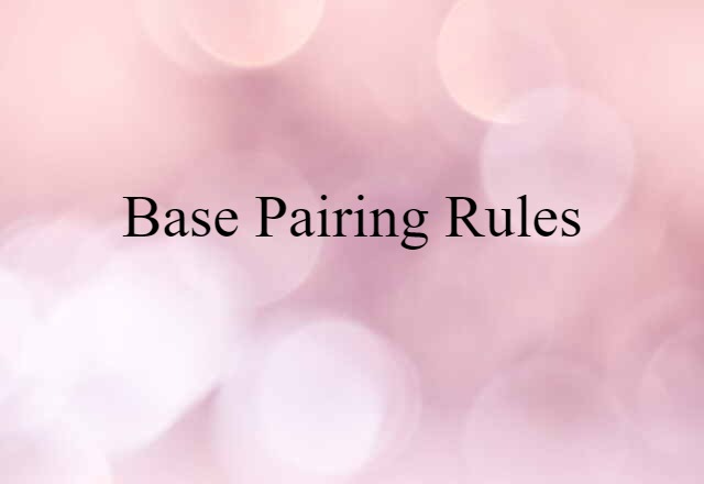 base pairing rules