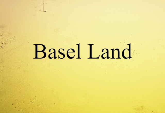 Basel Land (noun) Definition, Meaning & Examples