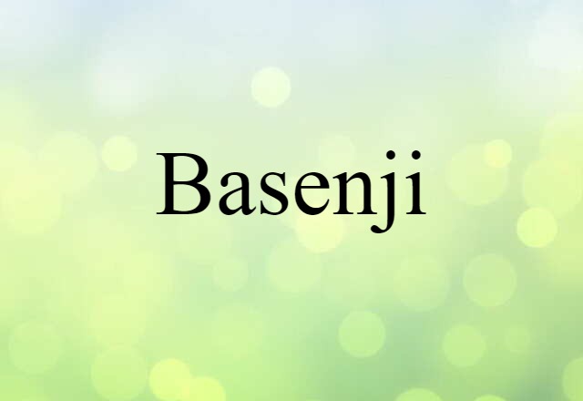 Basenji