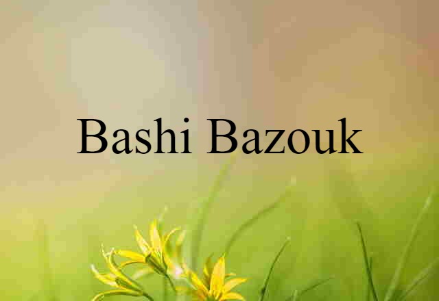 bashi-bazouk