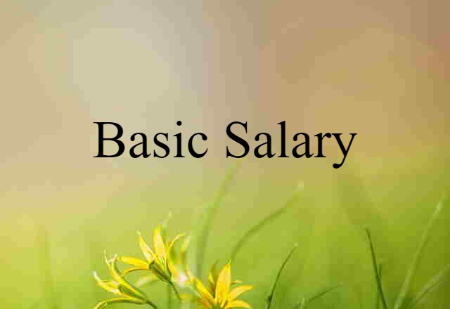 basic salary