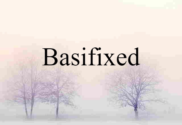 Basifixed (noun) Definition, Meaning & Examples