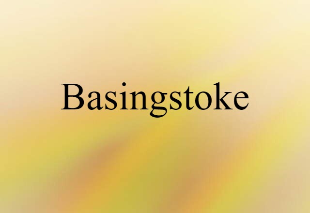 Basingstoke (noun) Definition, Meaning & Examples