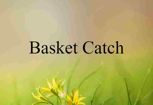 Basket Catch (noun) Definition, Meaning & Examples