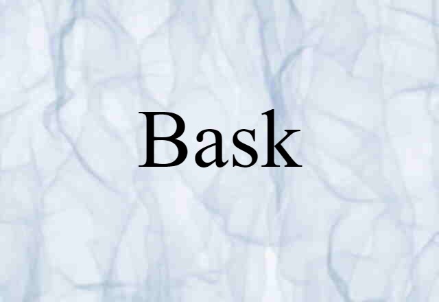 Bask (noun) Definition, Meaning & Examples