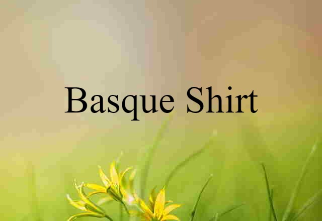 Basque Shirt (noun) Definition, Meaning & Examples