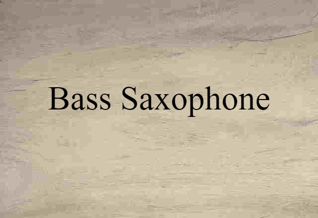 Bass Saxophone (noun) Definition, Meaning & Examples