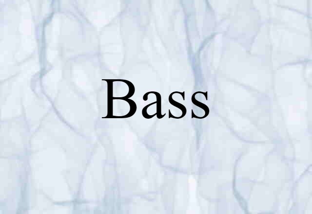 Bass (noun) Definition, Meaning & Examples