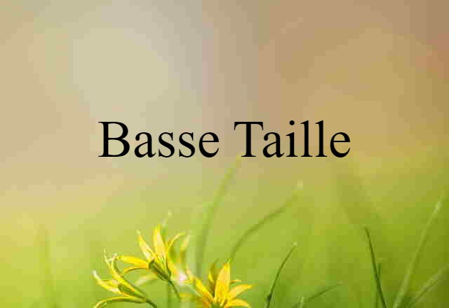 Basse-taille (noun) Definition, Meaning & Examples