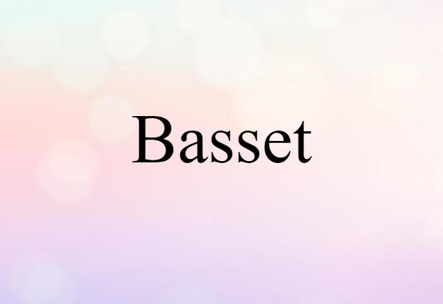 Basset (noun) Definition, Meaning & Examples