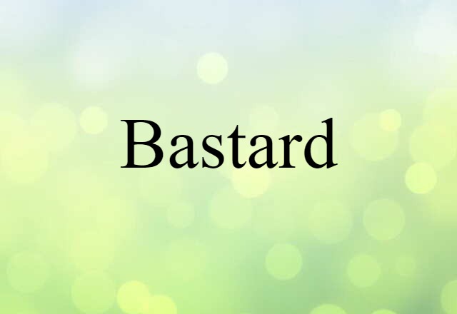 Bastard (noun) Definition, Meaning & Examples