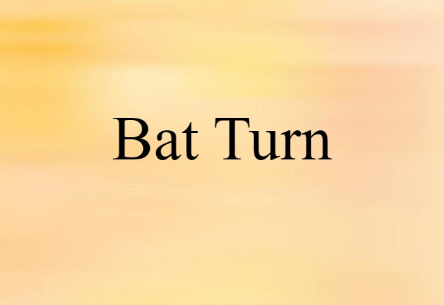 Bat Turn (noun) Definition, Meaning & Examples