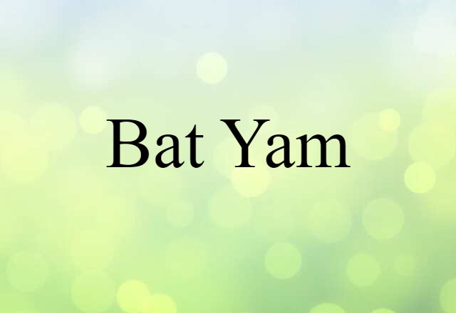 Bat Yam (noun) Definition, Meaning & Examples