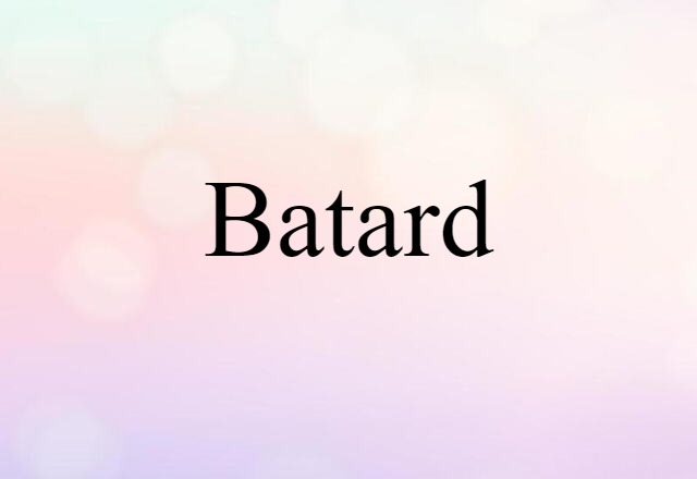 Batard (noun) Definition, Meaning & Examples