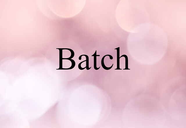 Batch (noun) Definition, Meaning & Examples