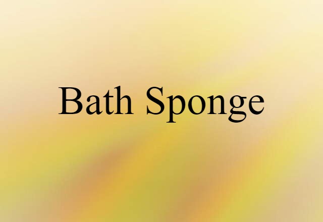 Bath Sponge (noun) Definition, Meaning & Examples