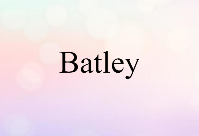 Batley (noun) Definition, Meaning & Examples