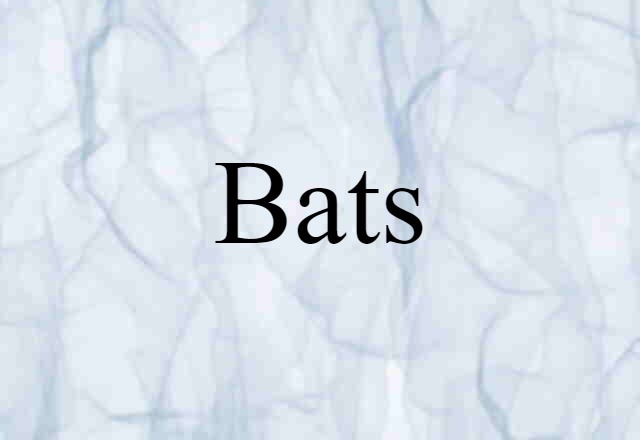 Bats (noun) Definition, Meaning & Examples