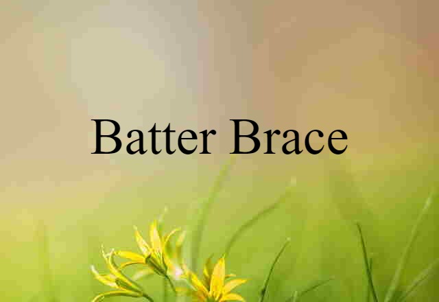 Batter Brace (noun) Definition, Meaning & Examples