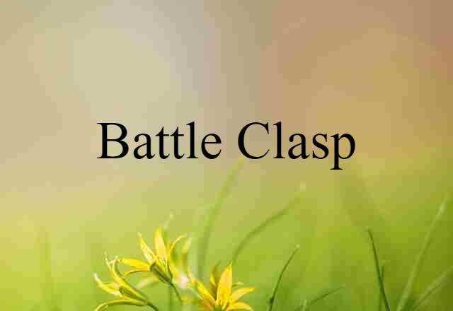 Battle Clasp (noun) Definition, Meaning & Examples