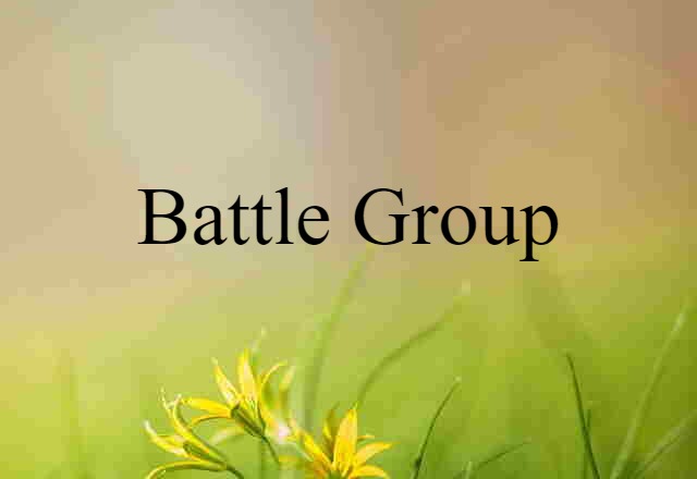 Battle Group (noun) Definition, Meaning & Examples