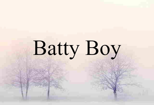 Batty Boy (noun) Definition, Meaning & Examples