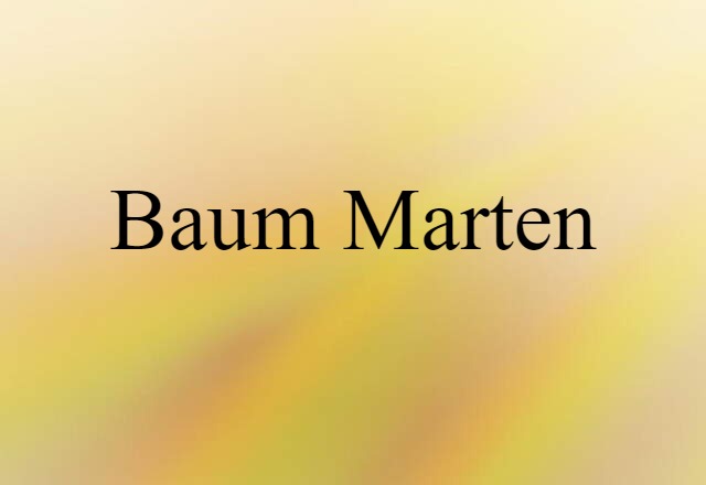 Baum Marten (noun) Definition, Meaning & Examples