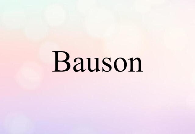 Bauson (noun) Definition, Meaning & Examples