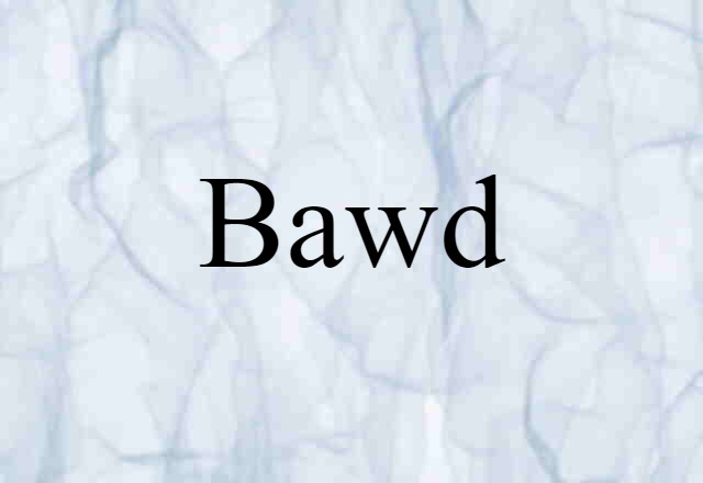 Bawd (noun) Definition, Meaning & Examples