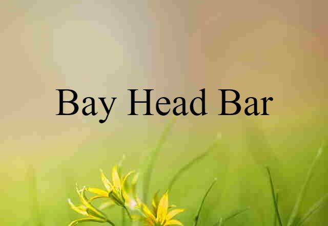 bay-head bar