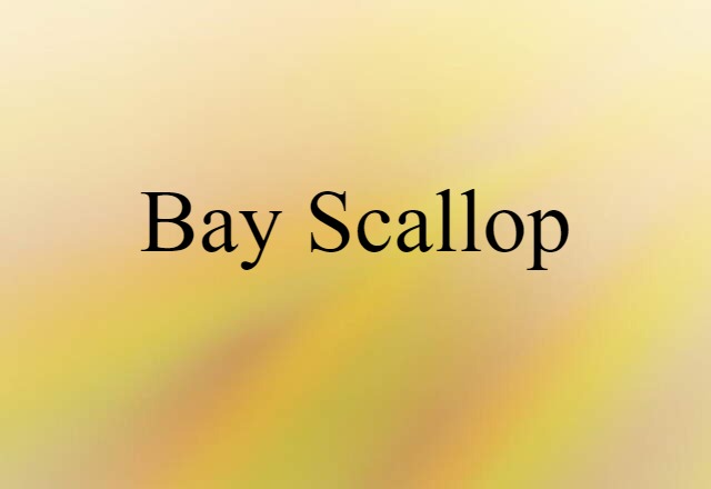 Bay Scallop (noun) Definition, Meaning & Examples