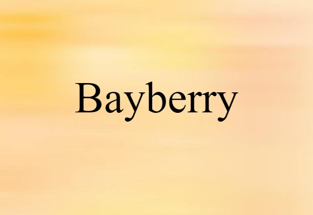 bayberry