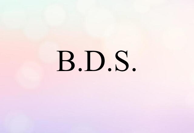 B.d.s. (noun) Definition, Meaning & Examples