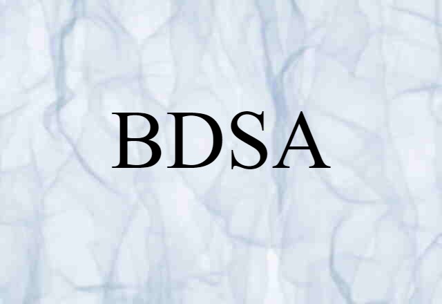 BDSA (noun) Definition, Meaning & Examples