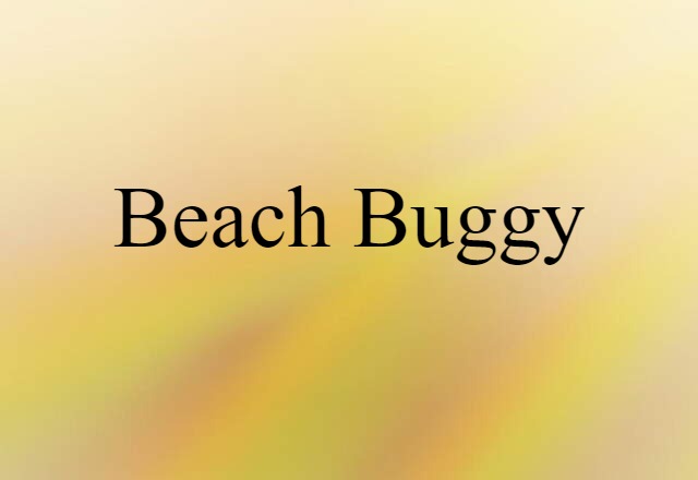 Beach Buggy (noun) Definition, Meaning & Examples