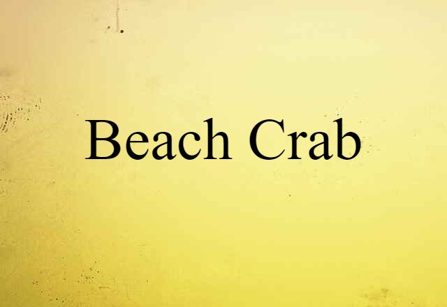 beach crab