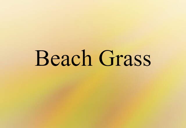 beach grass