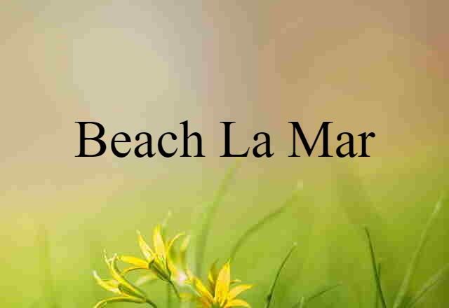 Beach la Mar