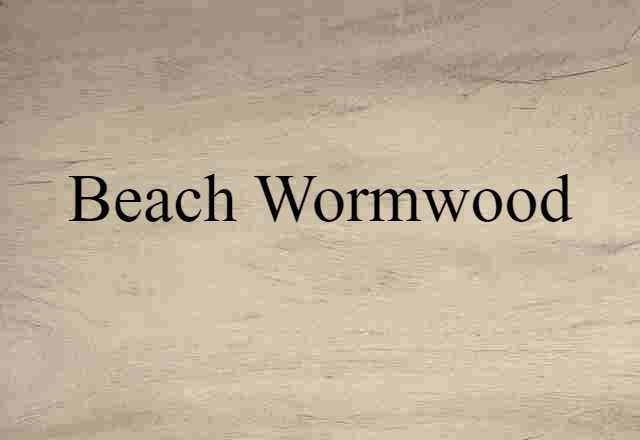 beach wormwood