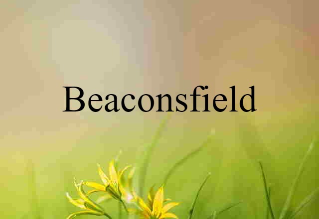 Beaconsfield (noun) Definition, Meaning & Examples