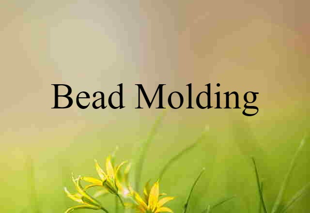 bead molding