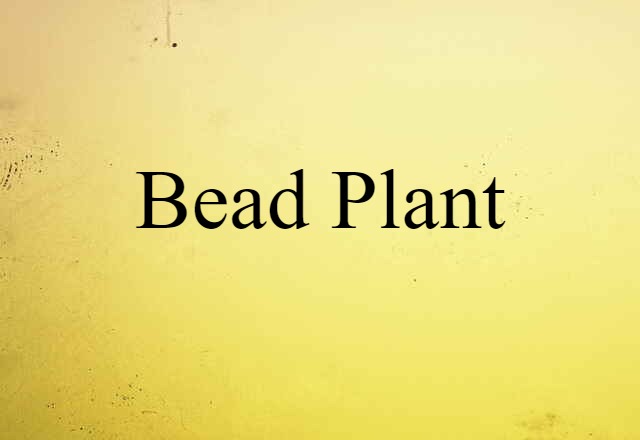 Bead Plant (noun) Definition, Meaning & Examples